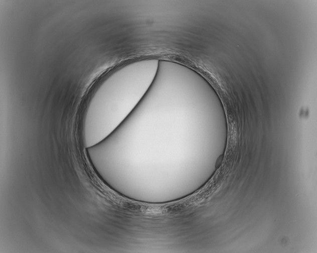 X0000090920587200708131435