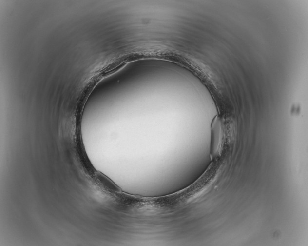 X0000090920589200708131435