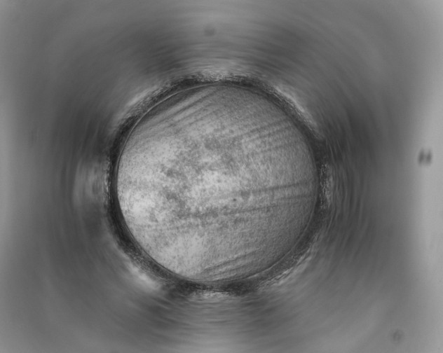 X0000090920590200708131435