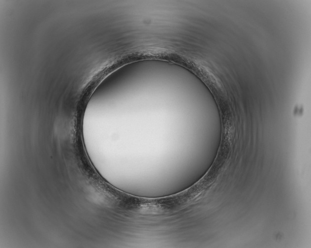 X0000090920591200708131435