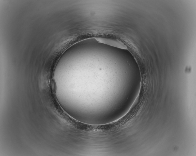 X0000090920593200708131435