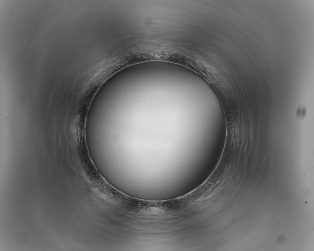 X0000090920594200708131435