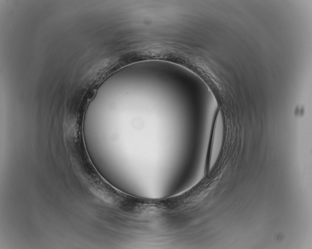 X0000090920597200708131435