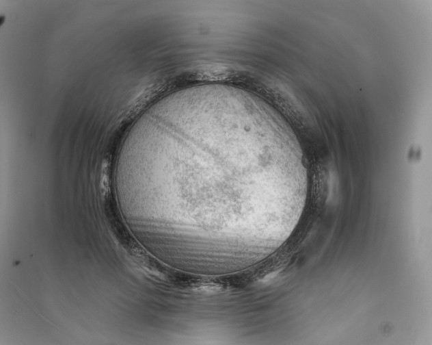 X0000090920598200708131435