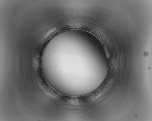 X0000090920600200708131434