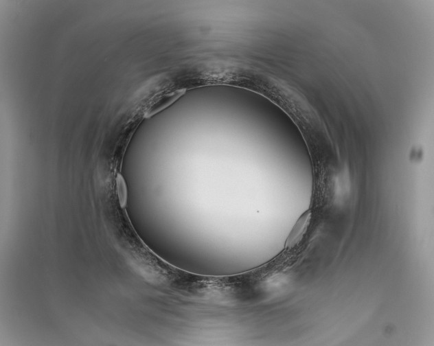 X0000090920601200708131434