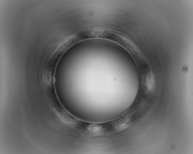 X0000090920602200708131434