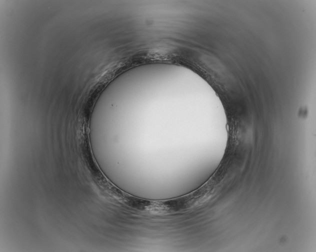 X0000090920603200708131434