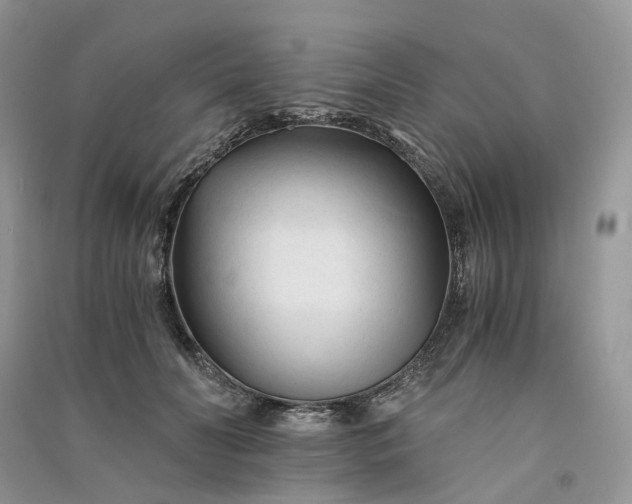 X0000090920606200708131434