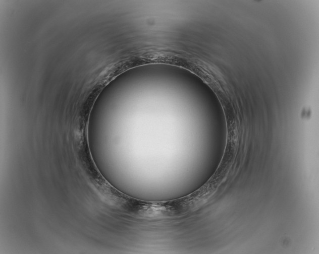 X0000090920607200708131434