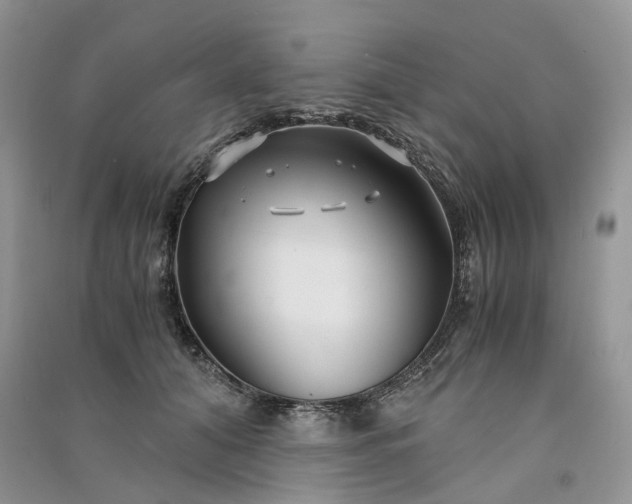 X0000090920608200708131434