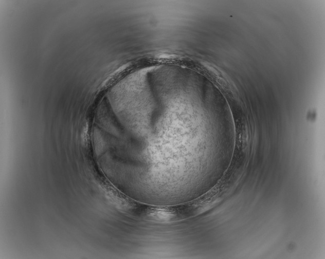 X0000090920610200708131434