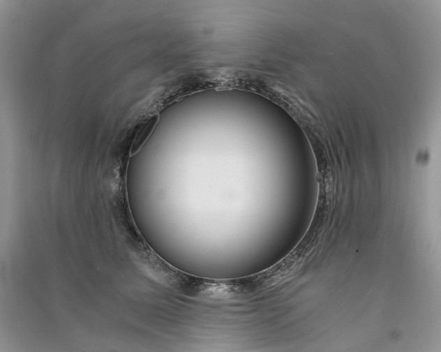 X0000090920611200708131434