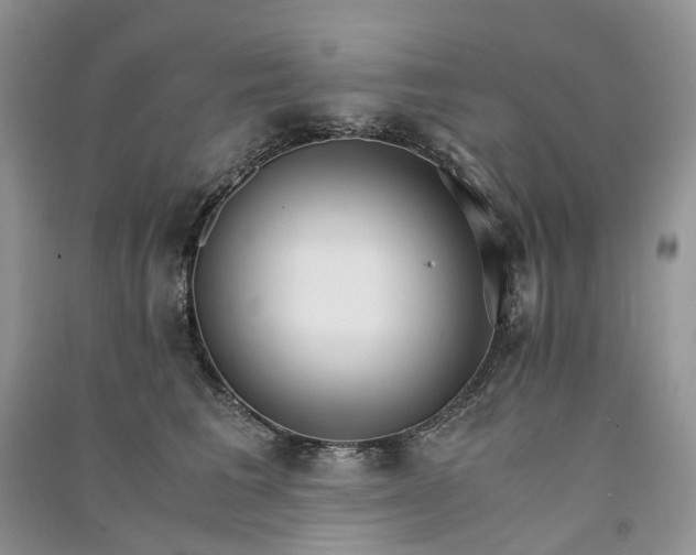 X0000090920613200708131434