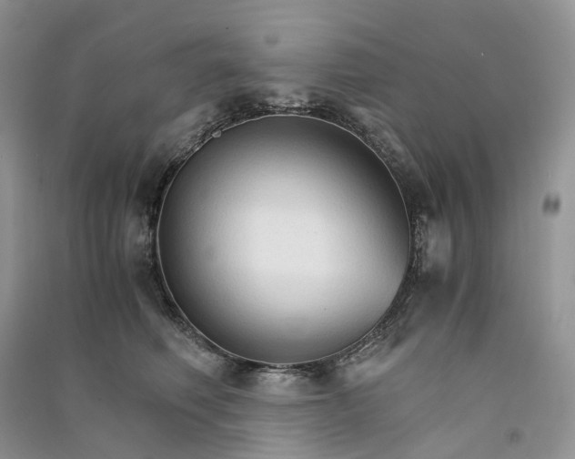 X0000090920614200708131434