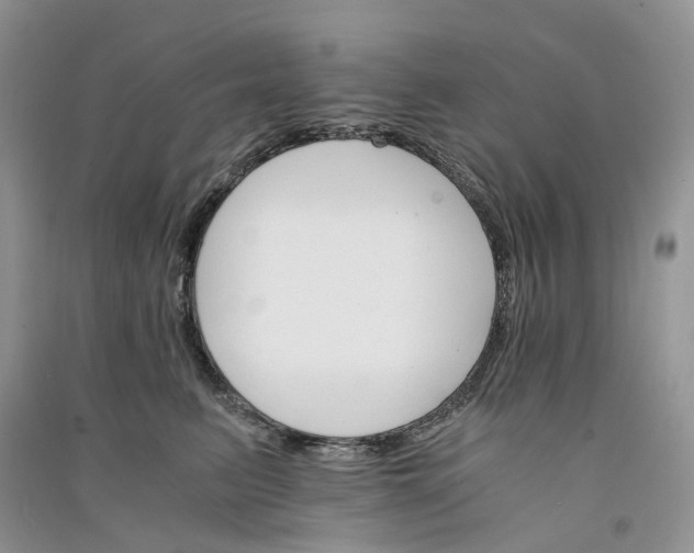 X0000090920615200708131434