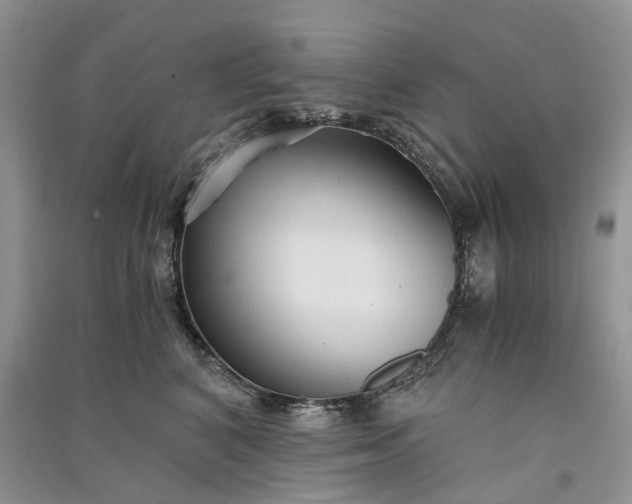 X0000090920616200708131434