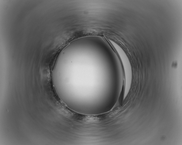 X0000090920617200708131434