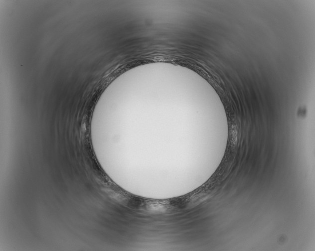 X0000090920618200708131434