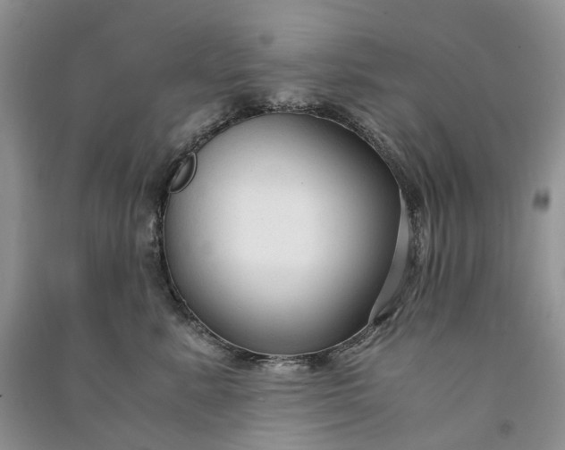 X0000090920619200708131434