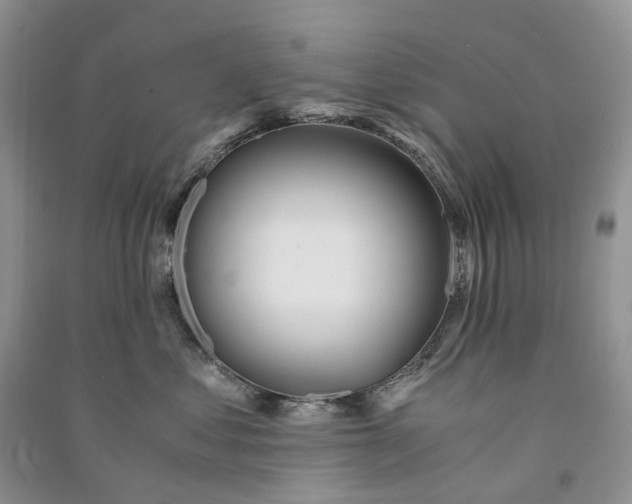 X0000090920621200708131434