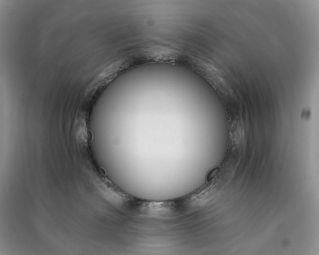 X0000090920622200708131434