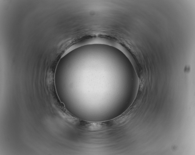 X0000090920623200708131434