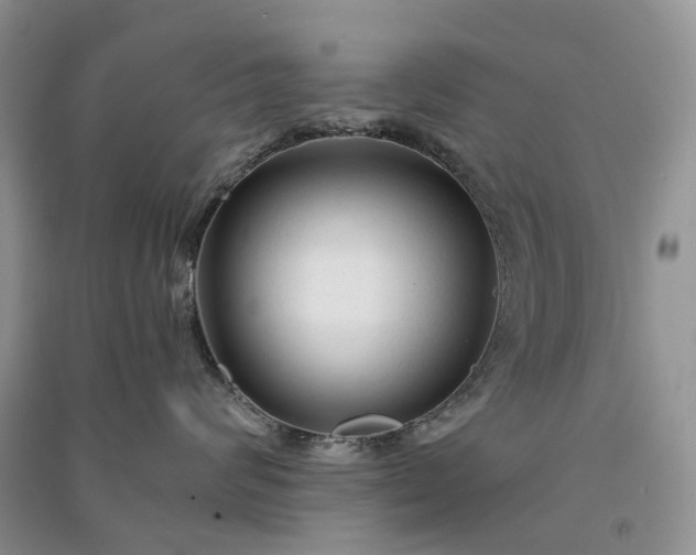 X0000090920624200708131434