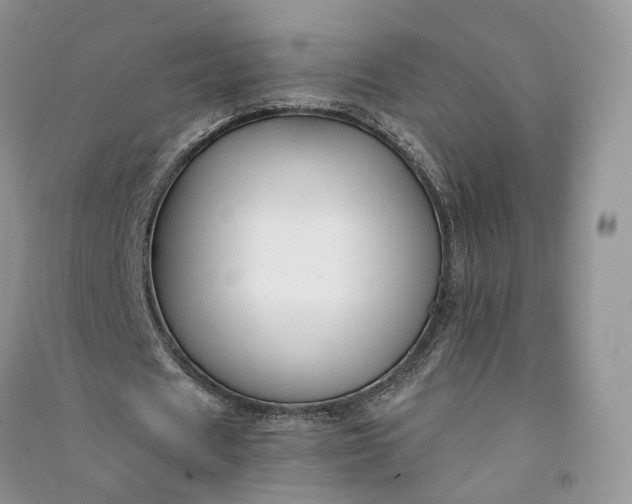 X0000090920625200708131434