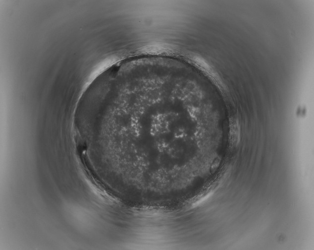 X0000090920626200708131434