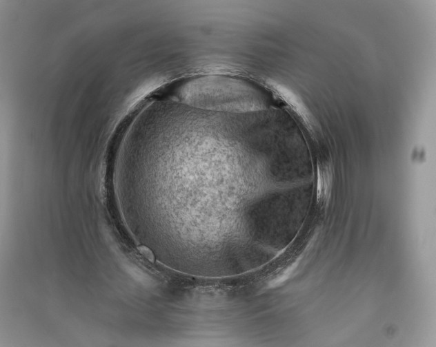 X0000090920627200708131434