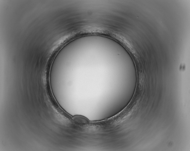 X0000090920629200708131434