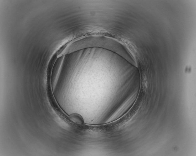 X0000090920630200708131434