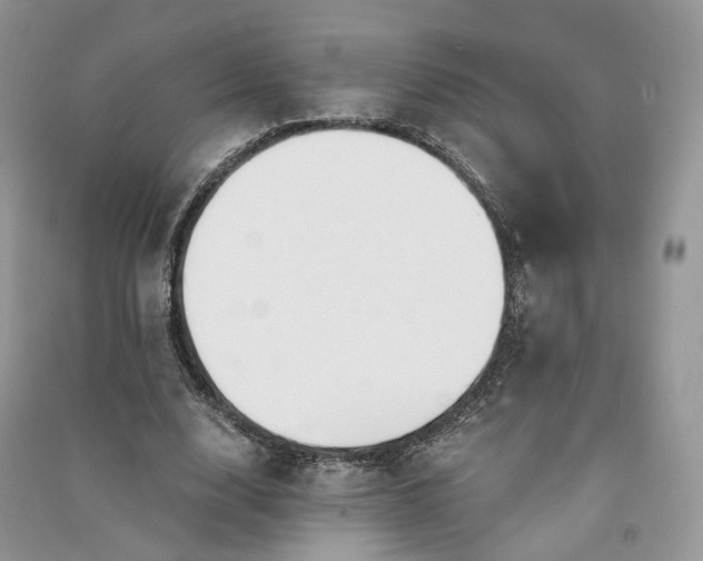 X0000090920632200708131434