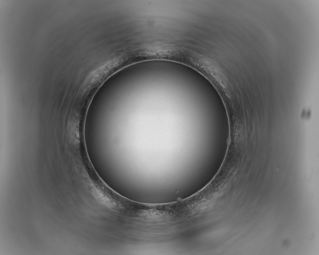 X0000090920633200708131434