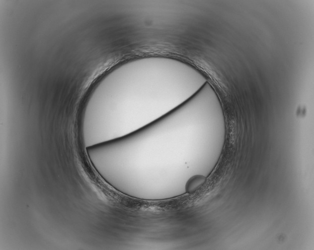 X0000090920634200708131434