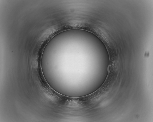 X0000090920635200708131434