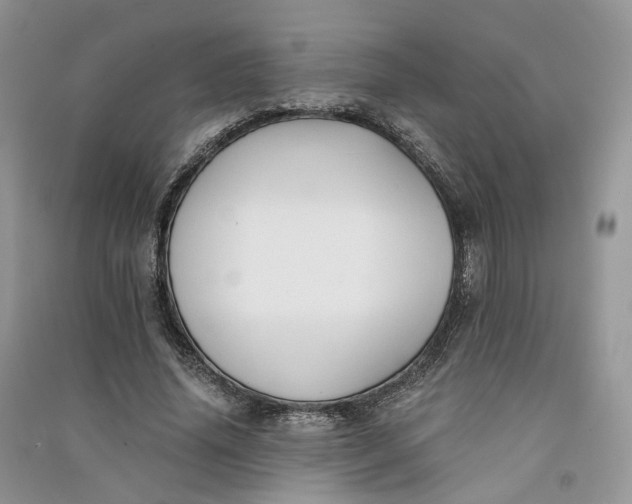 X0000090920636200708131434