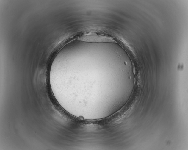 X0000090920637200708131434