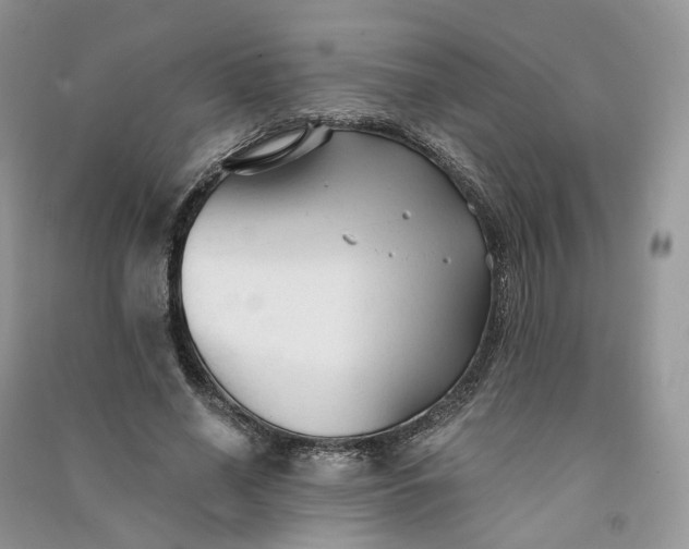 X0000090920638200708131434