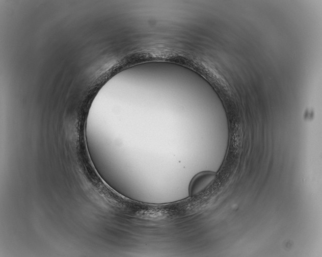 X0000090920639200708131434