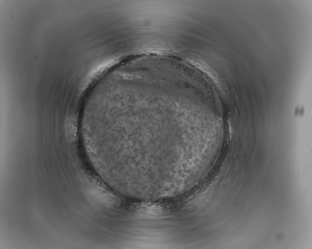 X0000090920640200708131434