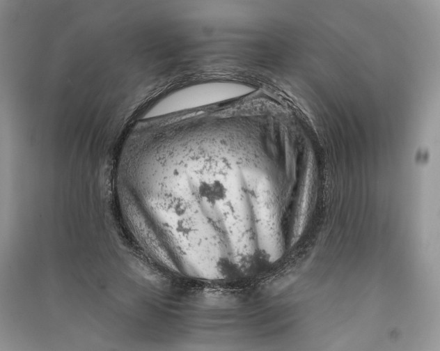 X0000090920641200708131434