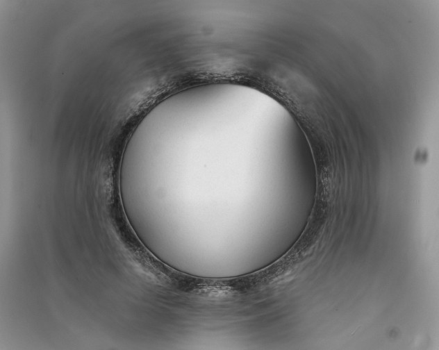 X0000090920642200708131434