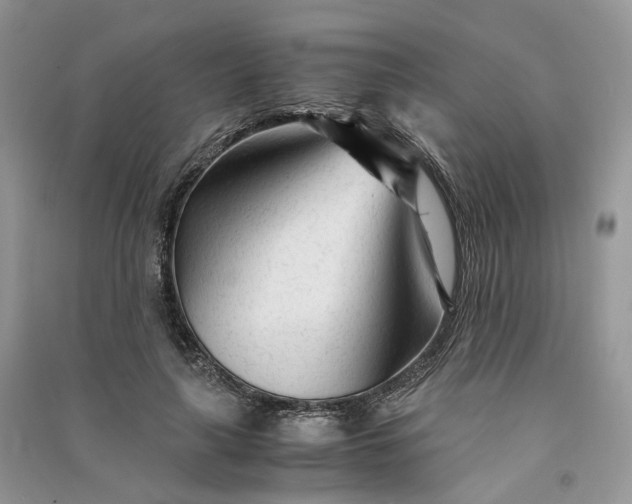 X0000090920643200708131434