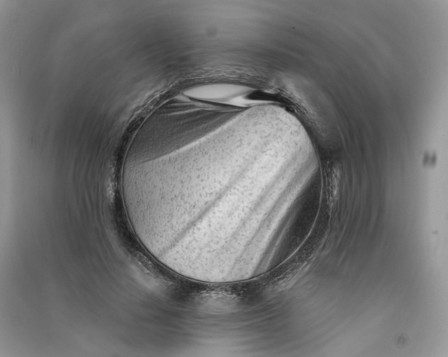 X0000090920644200708131434