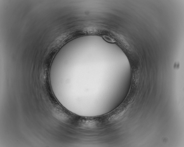 X0000090920645200708131434