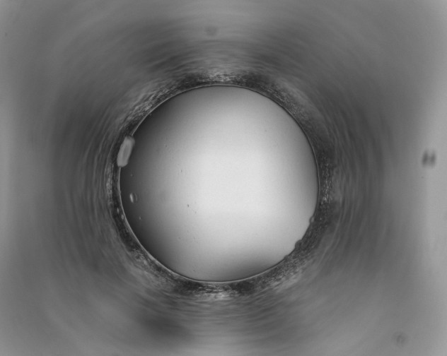 X0000090920646200708131434