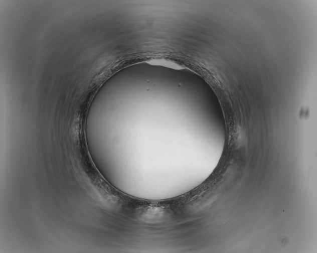 X0000090920647200708131434