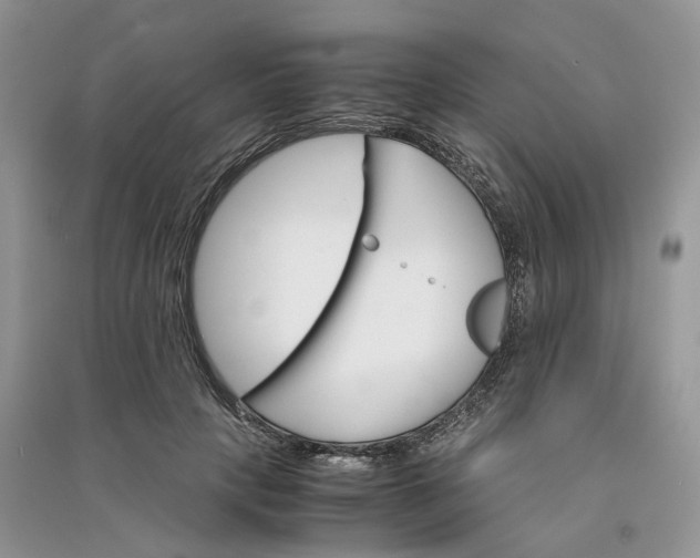 X0000090920649200708131434